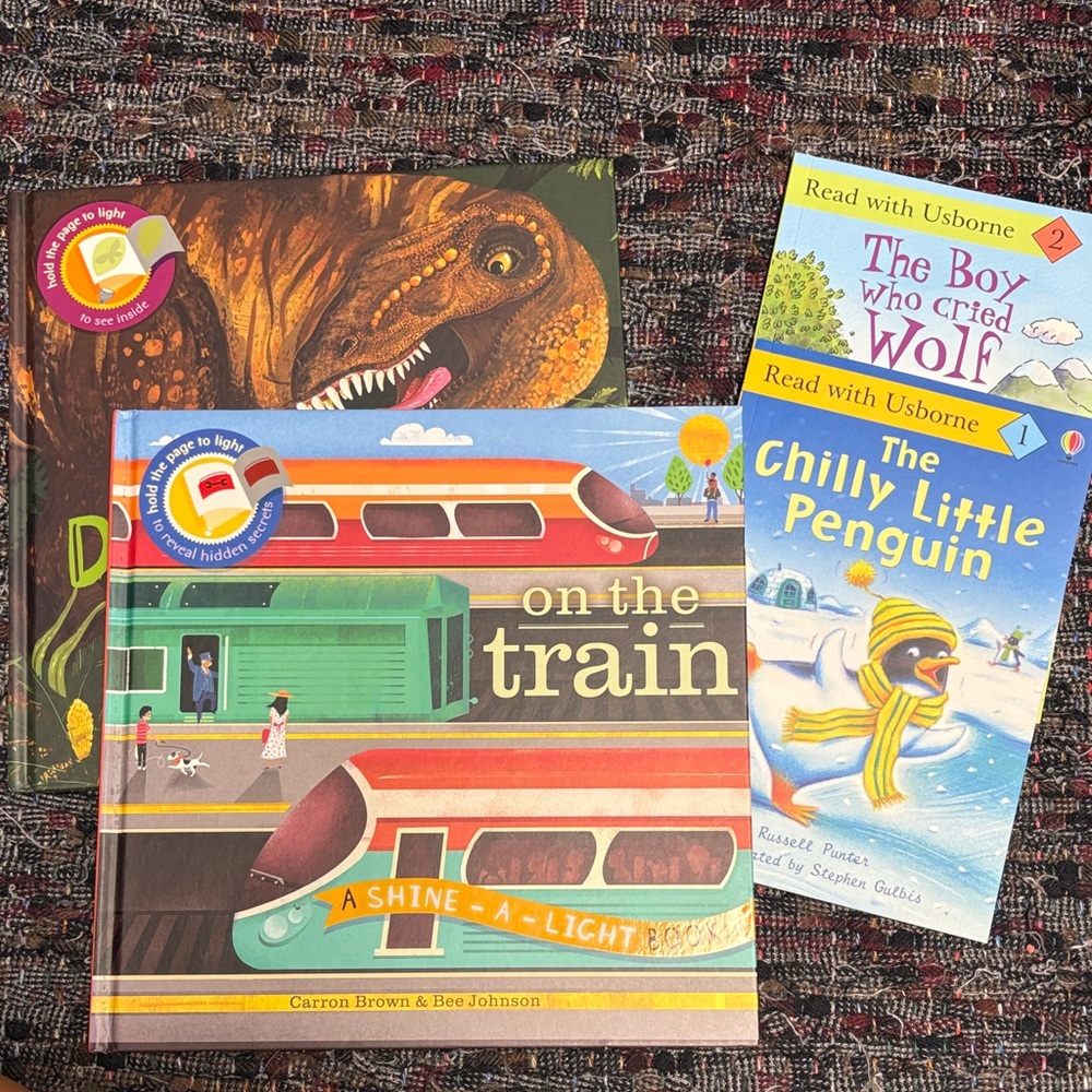 Usborne Shine-A-Light Books and Learn to Read